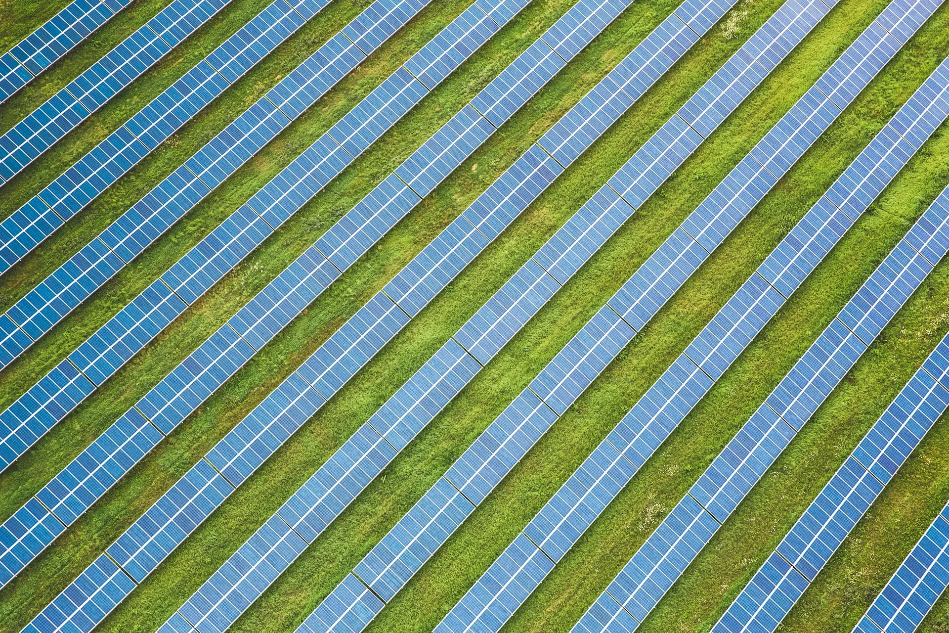 Unleashing Solar Power: A Sustainable Revolution - Express Waste Dumpsters